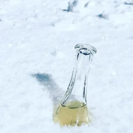 Prázdninový dům Vikendica Koroman
